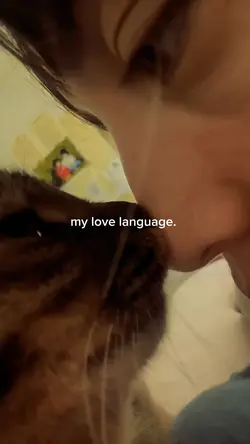 cute cat