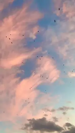 sky