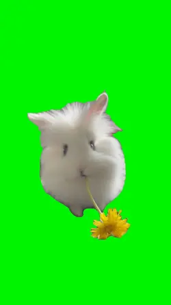 Cute Bunny Lawnmower