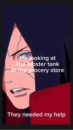 Lobster tank 🦞