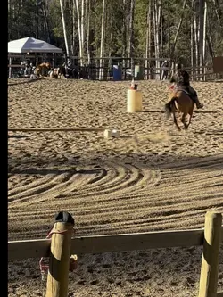 Bam