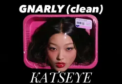 GNARLY clean