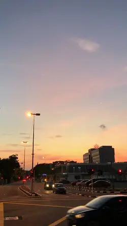 7 video aesthetic ✨