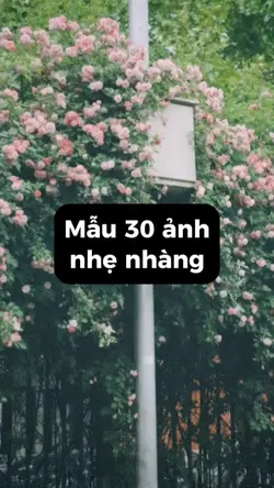 Mẫu nhiều ảnh