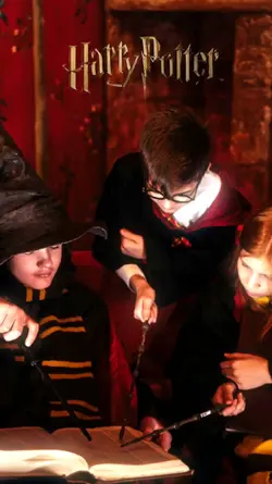 Harry Potter