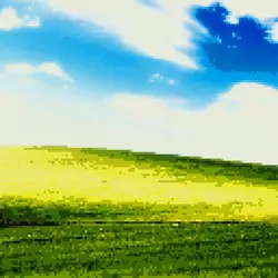 Viral pixel edit