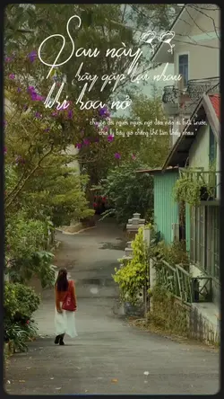 Mẫu HQ 