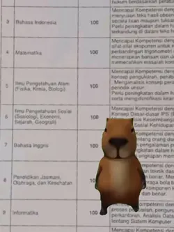 versi capybara 
