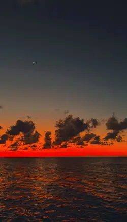 Filter Senja