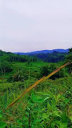seruling sunda merdu