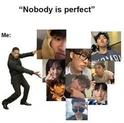 nobody is perfect