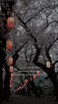 sakura