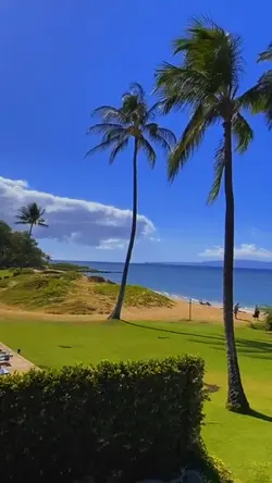 Holiday vibes