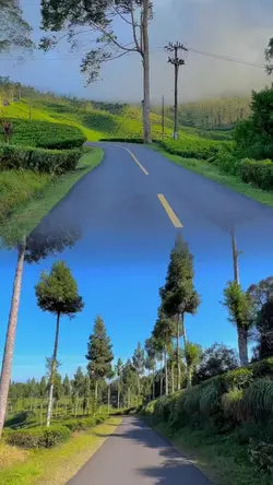 2 video 1 frame