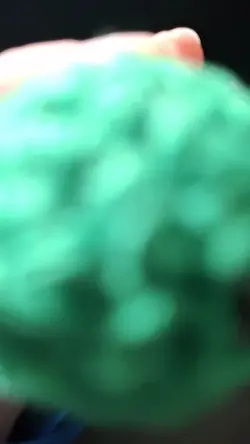 turtle transition #2