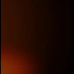 TIKTOK NOTES 