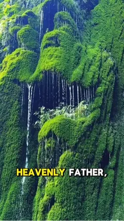 Prayer 