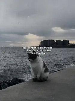 Além das falhas...