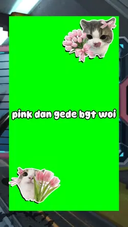 bkp streamer epep