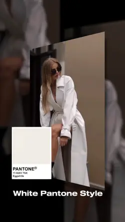 
White Pantone style