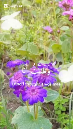 Arabic Nasheed
