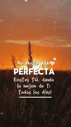 Vida perfecta 