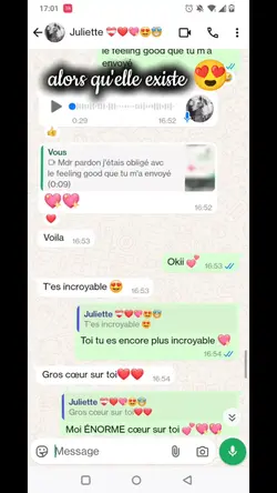 amitié virtuelle 