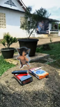 Kicau mania