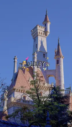 Disney Vlog🐭