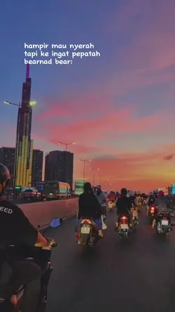 pepatah beruang 