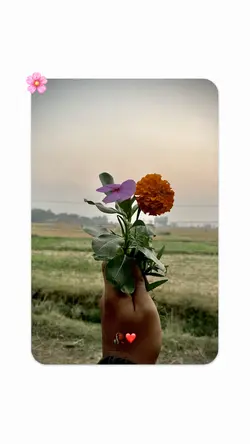 Sad Lines - 3