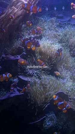 october so far.