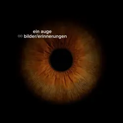 Auge 