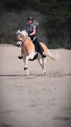 galloping>>