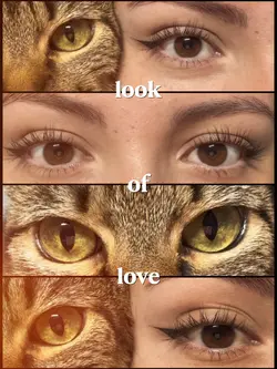 eye - look of love