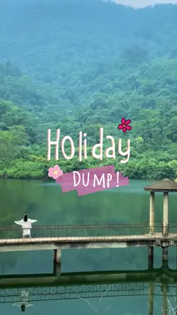 Holiday Dump