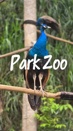 Park Zoo