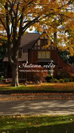 Autumn vibes