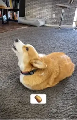 Im a Potato 