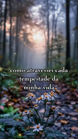 reflexão