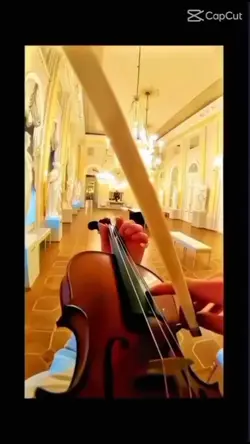 violon trend