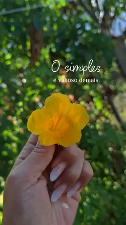 Simplicidade 