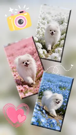 Dog Moment 