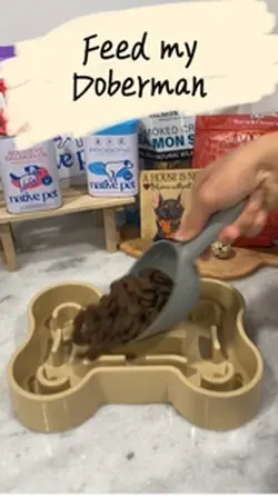 Feed my Doberman 