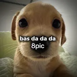 bas da da da