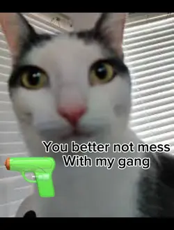 Oobie Goobie 🗿