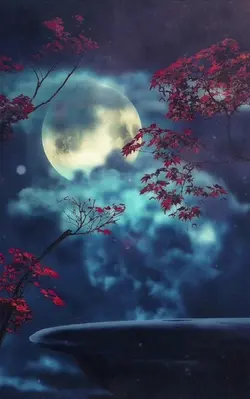 good Night 