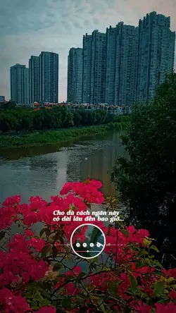 NGƯỜI TÌNH VÀ QUÊ H