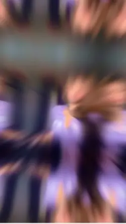 Blur+Shakes+Velocity