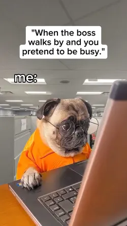 Fake busy